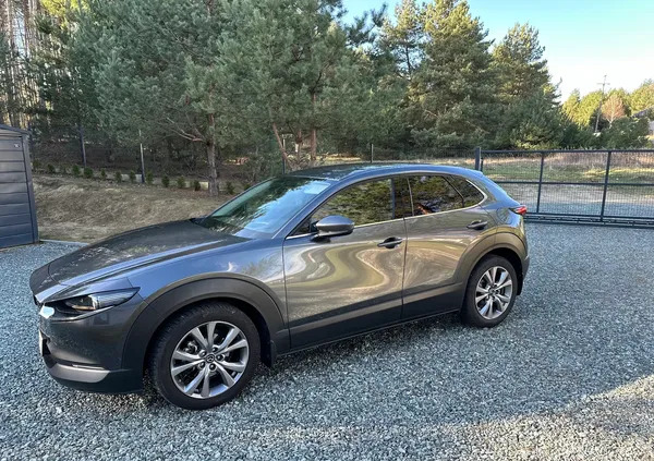 mazda cx-30 Mazda CX-30 cena 118000 przebieg: 102000, rok produkcji 2019 z Wrocław